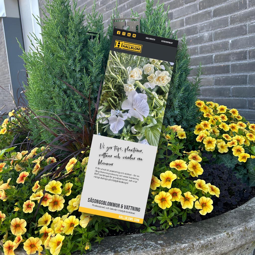 Folder vårens blommor
