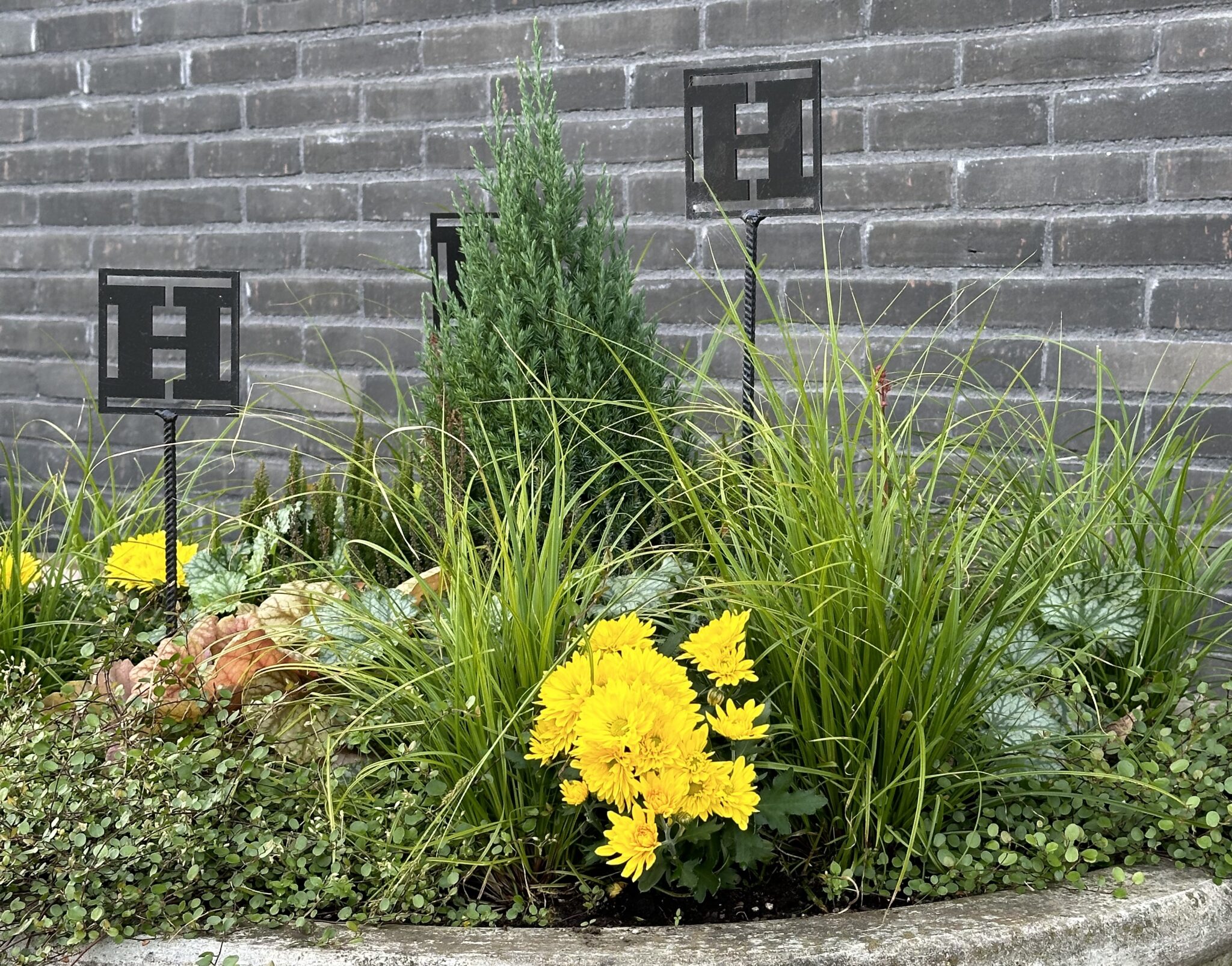 Anlagd utemiljö av Hallbloms