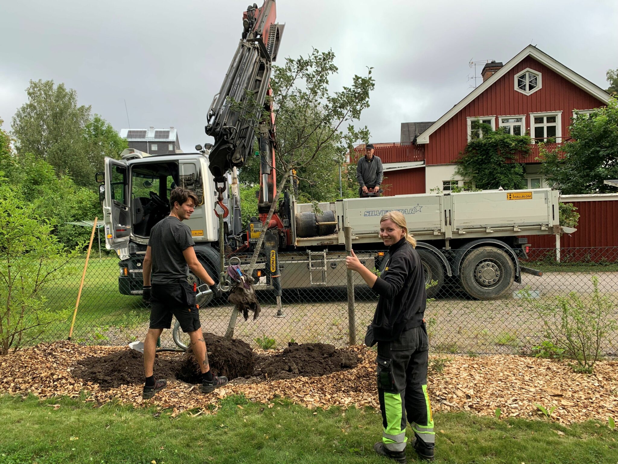 Skötselarbete av Hallbloms